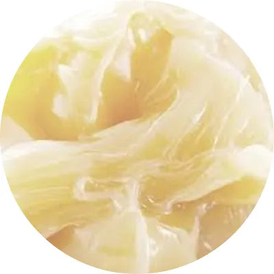Bis Diglyceryl Polyacyladipate