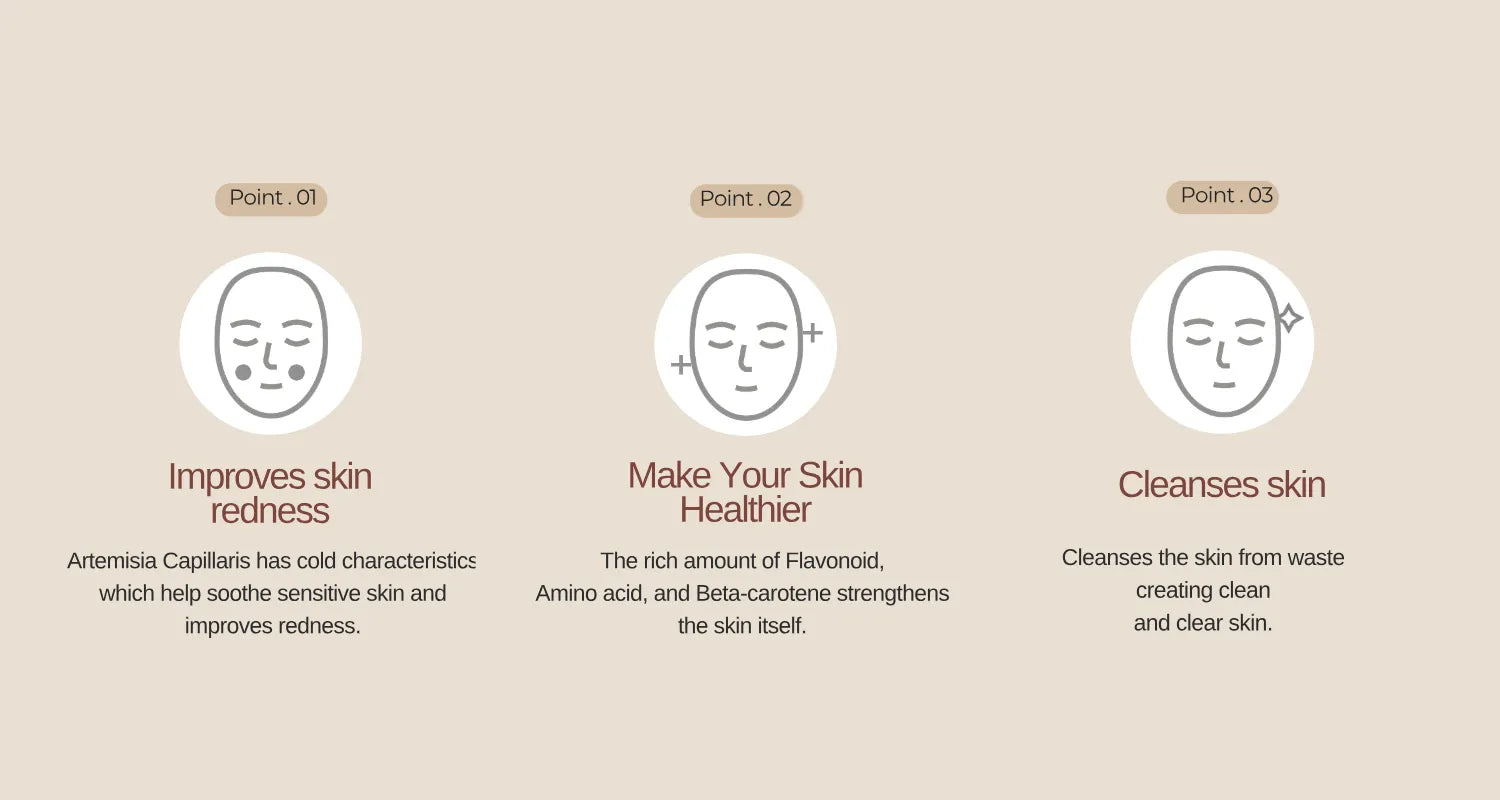 Buy Best Skincare Products in India for Oily Skin