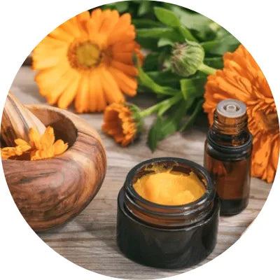 Cica & Calendula complex Image