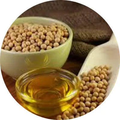 Hydrogenated Soybean_Oil