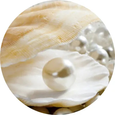 Pearl Exract Image