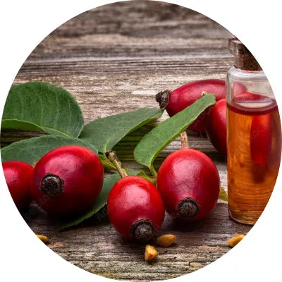 Rosa canina fruit oil Image