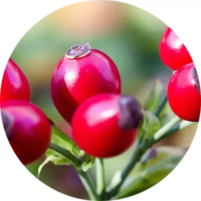 Rosehip oil