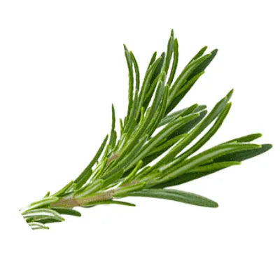 Rosemary tea image