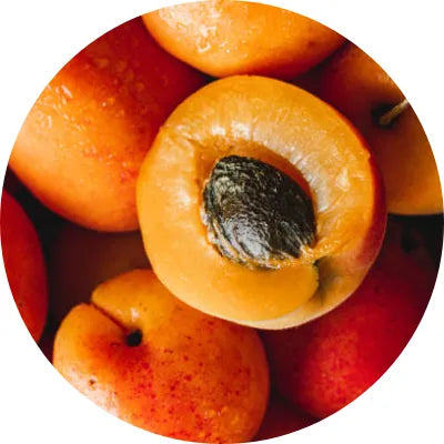Apricot kernel oil Image