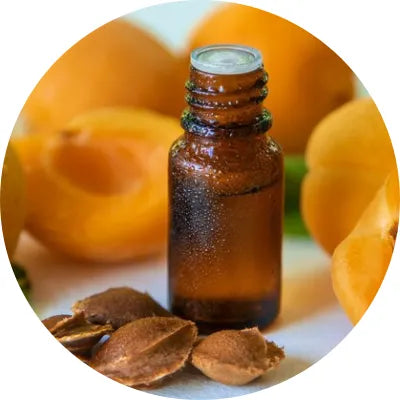Prunus armeniaca (apricot) kernel oil Image